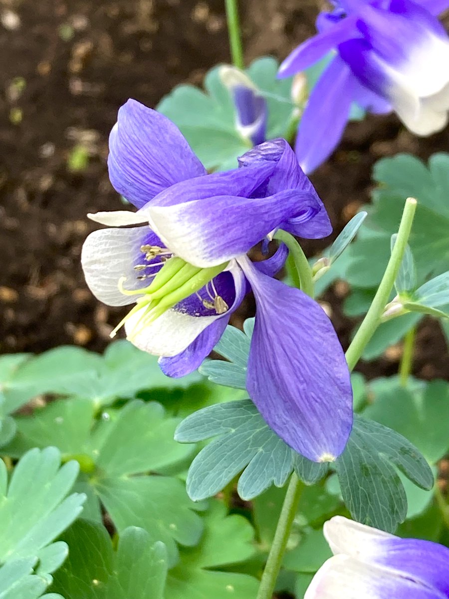 moremore tweet media