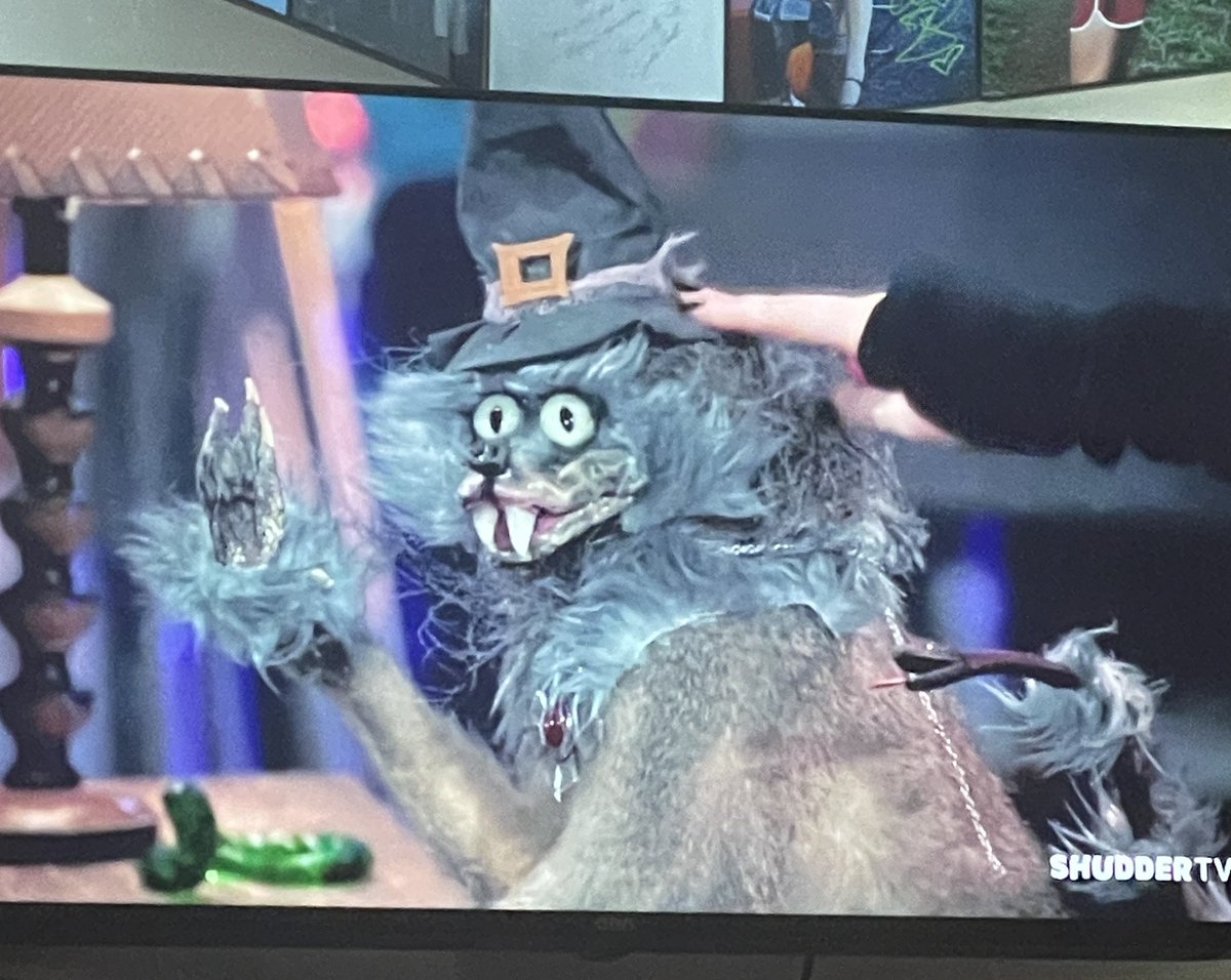 I predict Wally will fetch at least 6 figures at the Christmas charity auction.  #TheLastDriveIn #mutantfam #wickedwitchywingding #thedriveinwillneverdie #RawheadRex <a href="/therealjoebob/">Joe Bob Briggs</a> <a href="/kinky_horror/">Diana “Darcy the Mail Ghoul” Prince 🎃💌</a> <a href="/TheMutantFam/">The Mutant Fam</a>