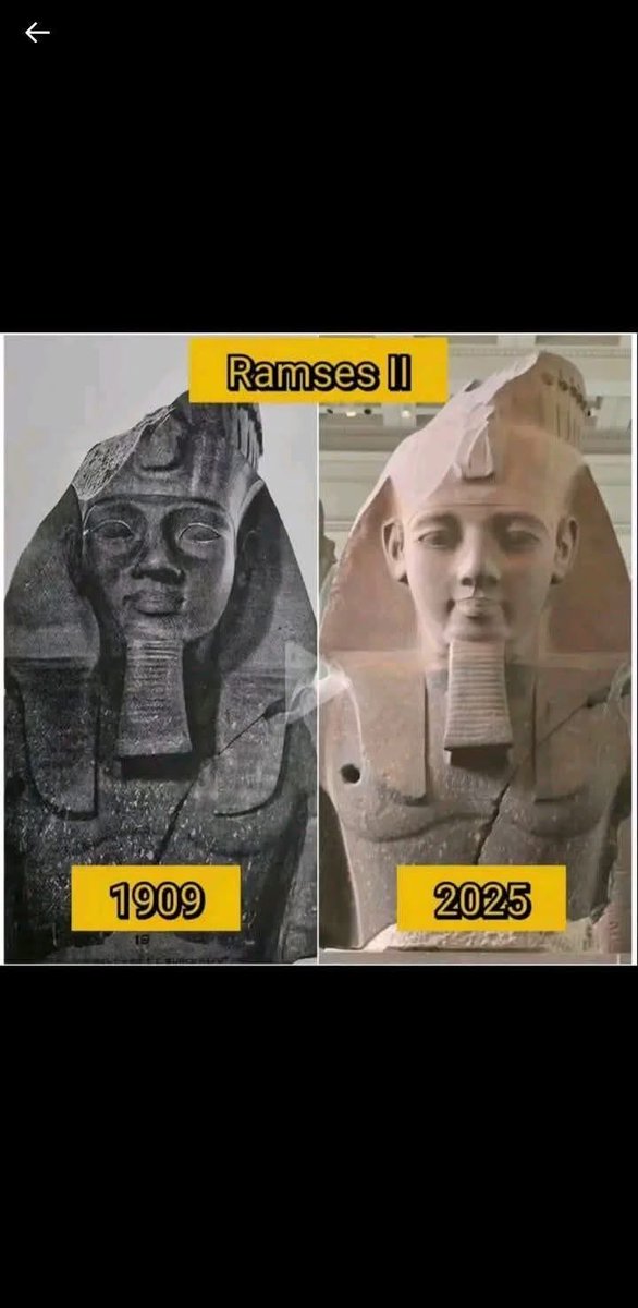 thethankfulservant tweet media