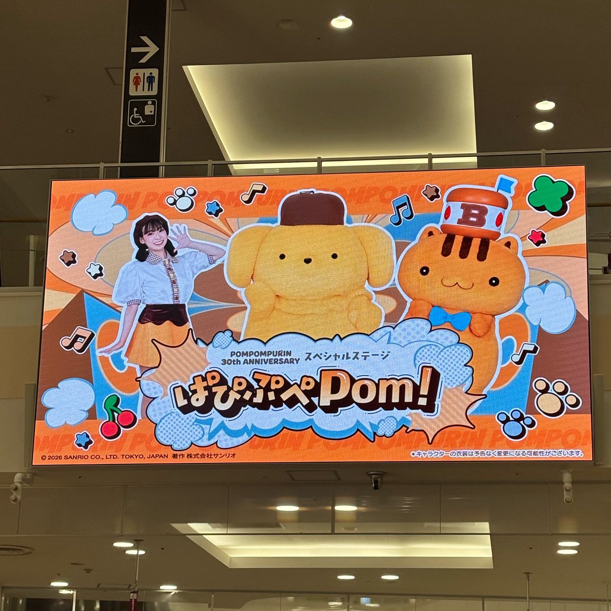 佐藤エリザベス tweet media