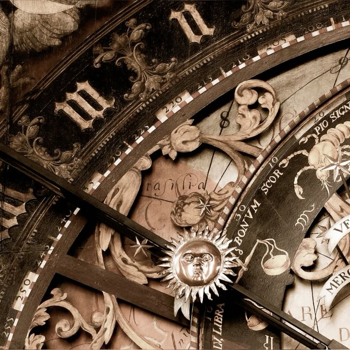 sthe ✿ . ⊹ tweet media