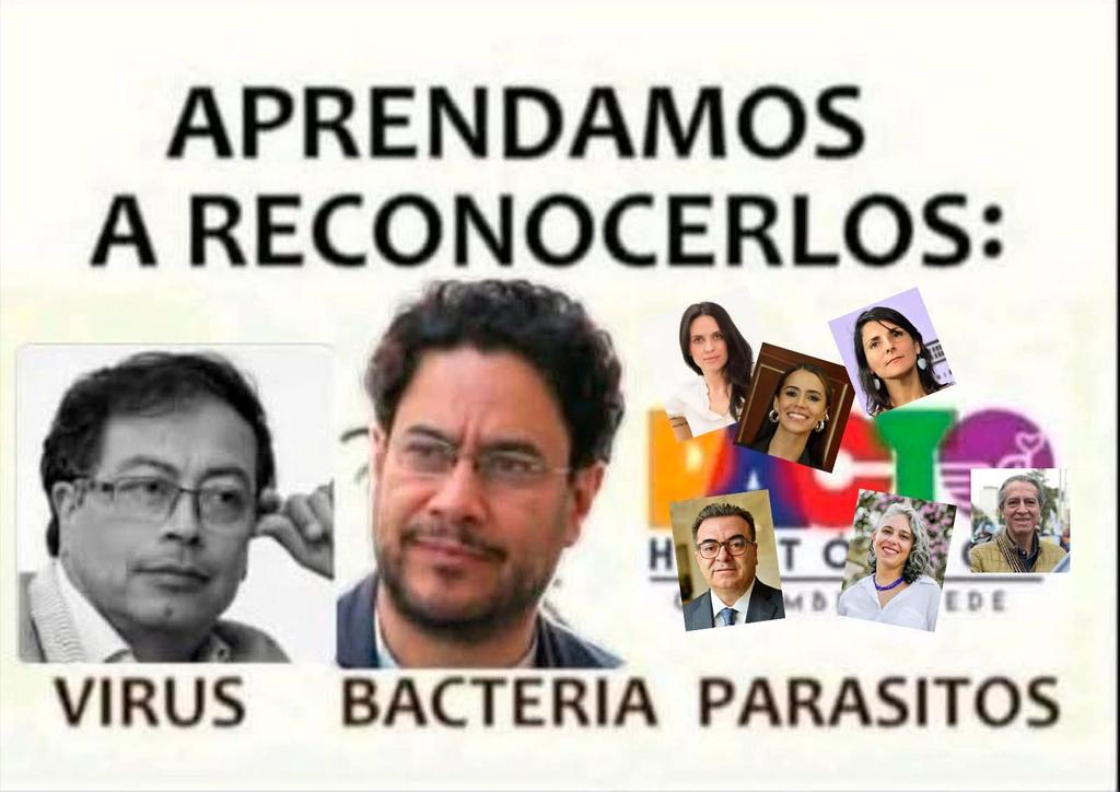 Indígena (@ed_tropical) on Twitter photo 