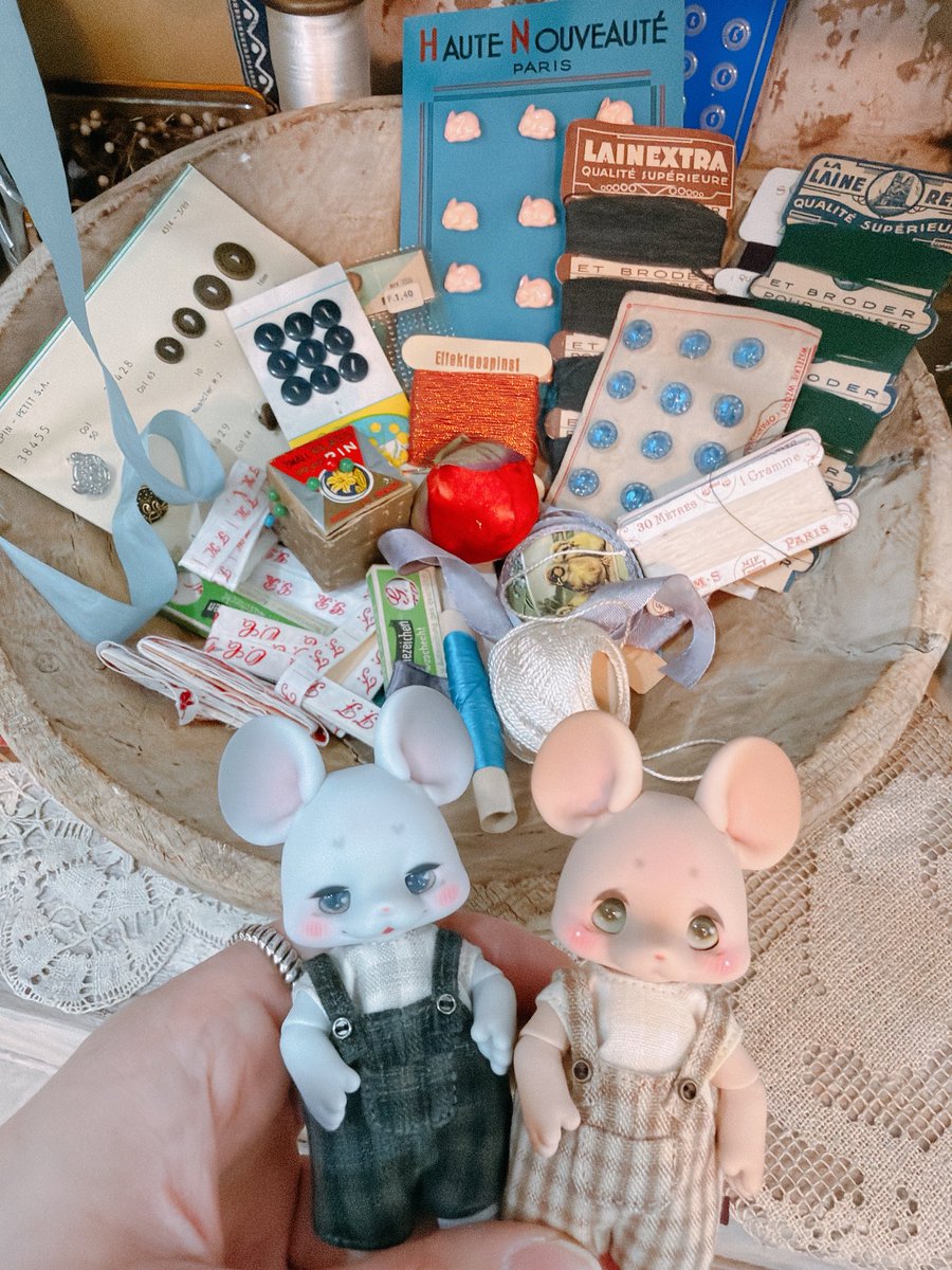 한스제이맘 tweet media