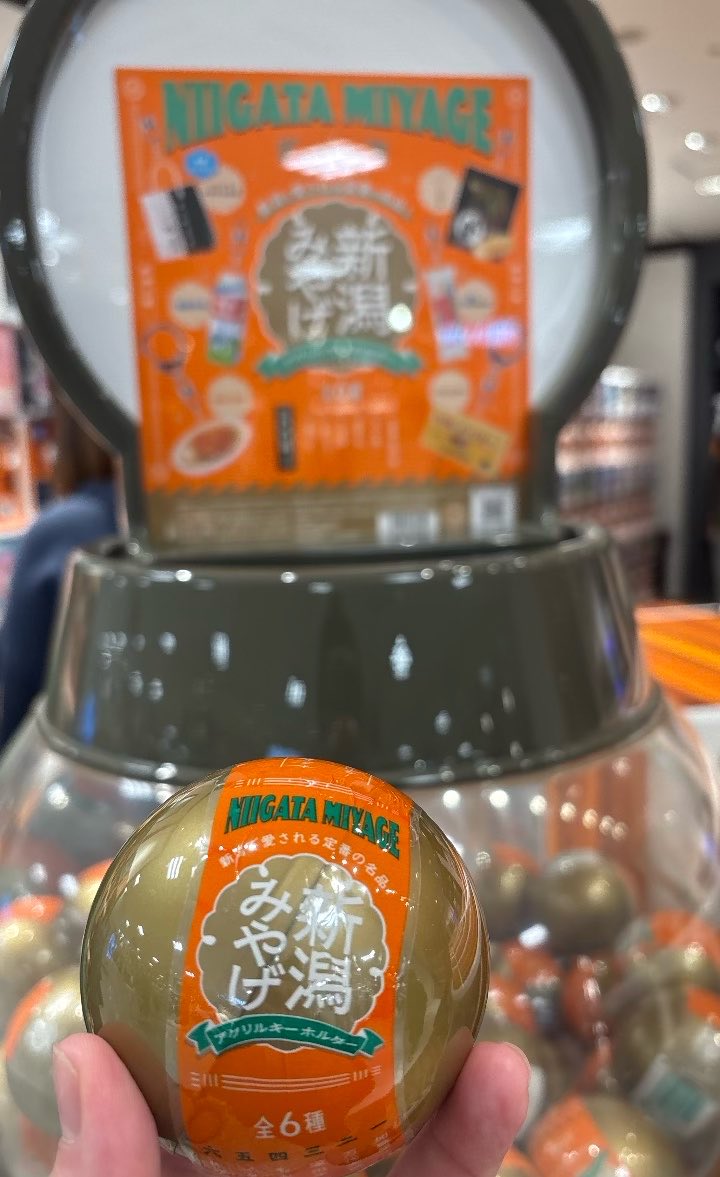 ‼️‼️‼️

イタリアンめっちゃ欲しい(万代太鼓だった)