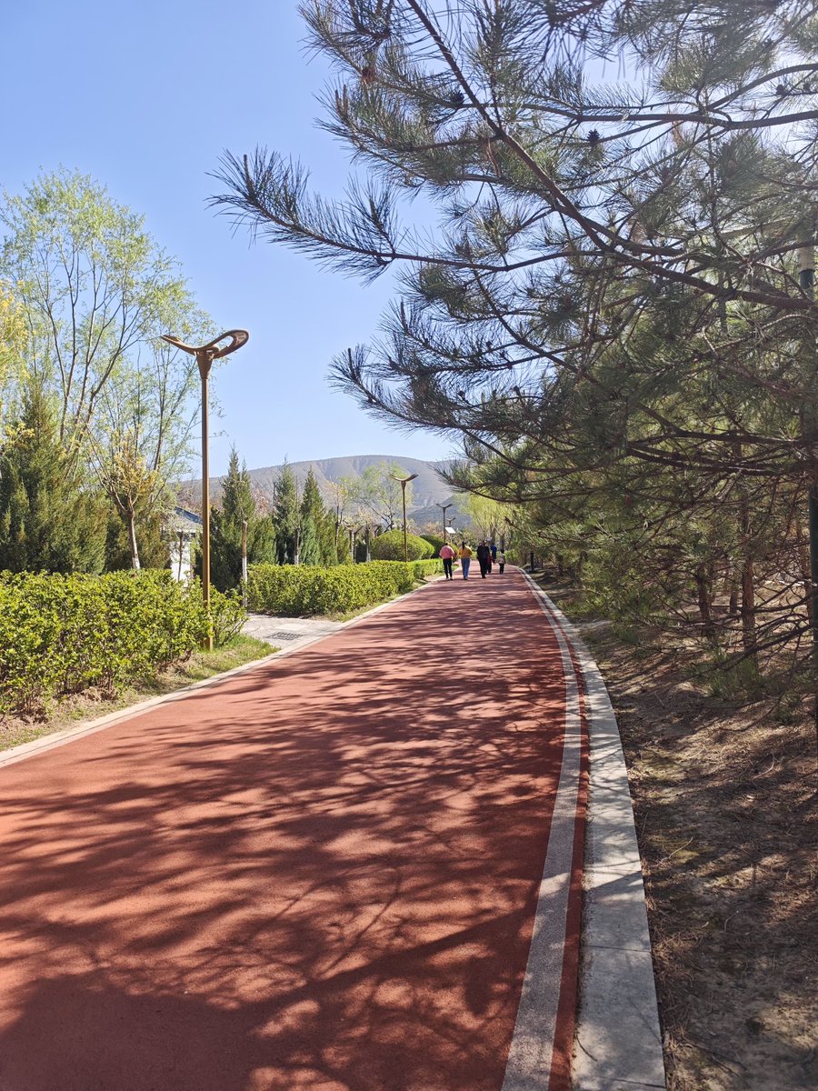 hello_DINGXI's tweet photo. https://t.co/pVLDdzhtxZ
