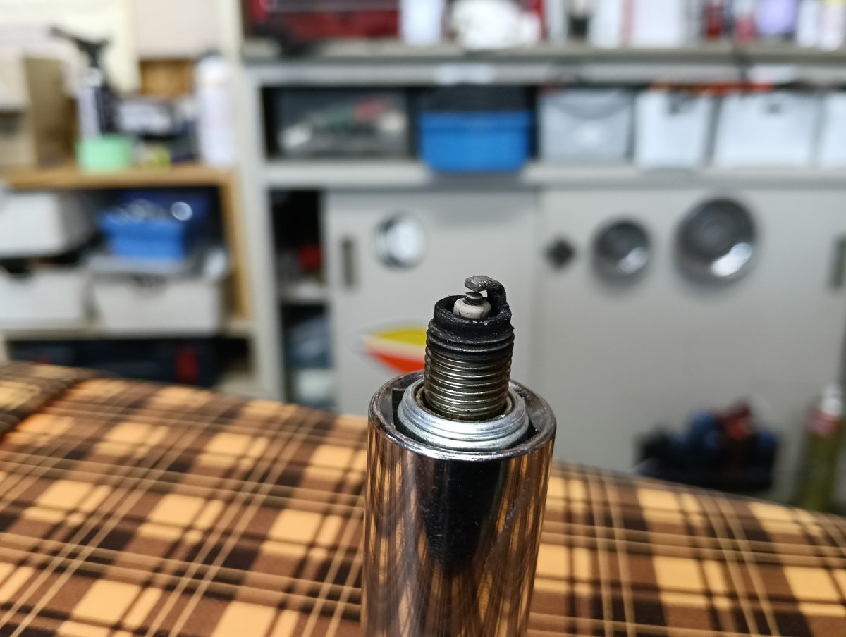 ࿉ 𓅰おぬぢり𓅰࿉ tweet media