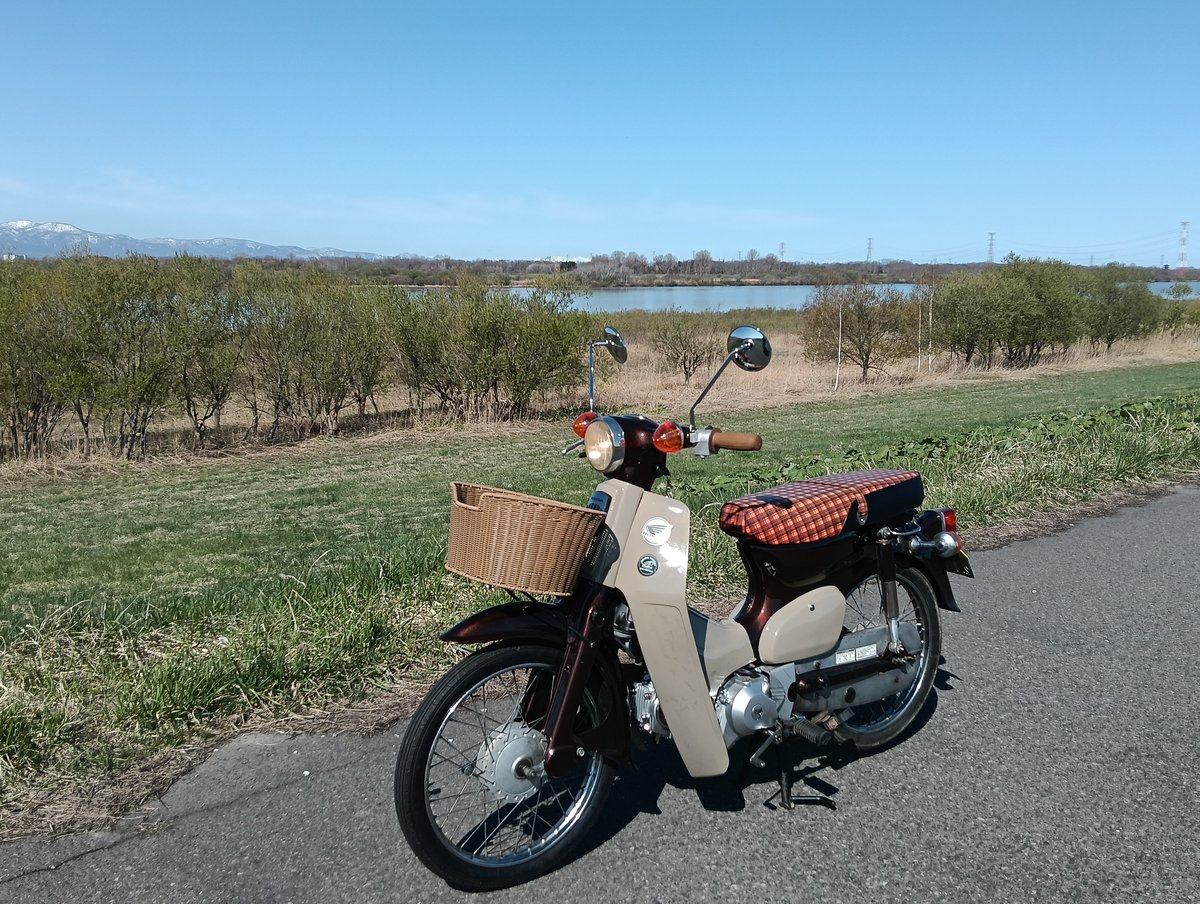 ࿉ 𓅰おぬぢり𓅰࿉ tweet media