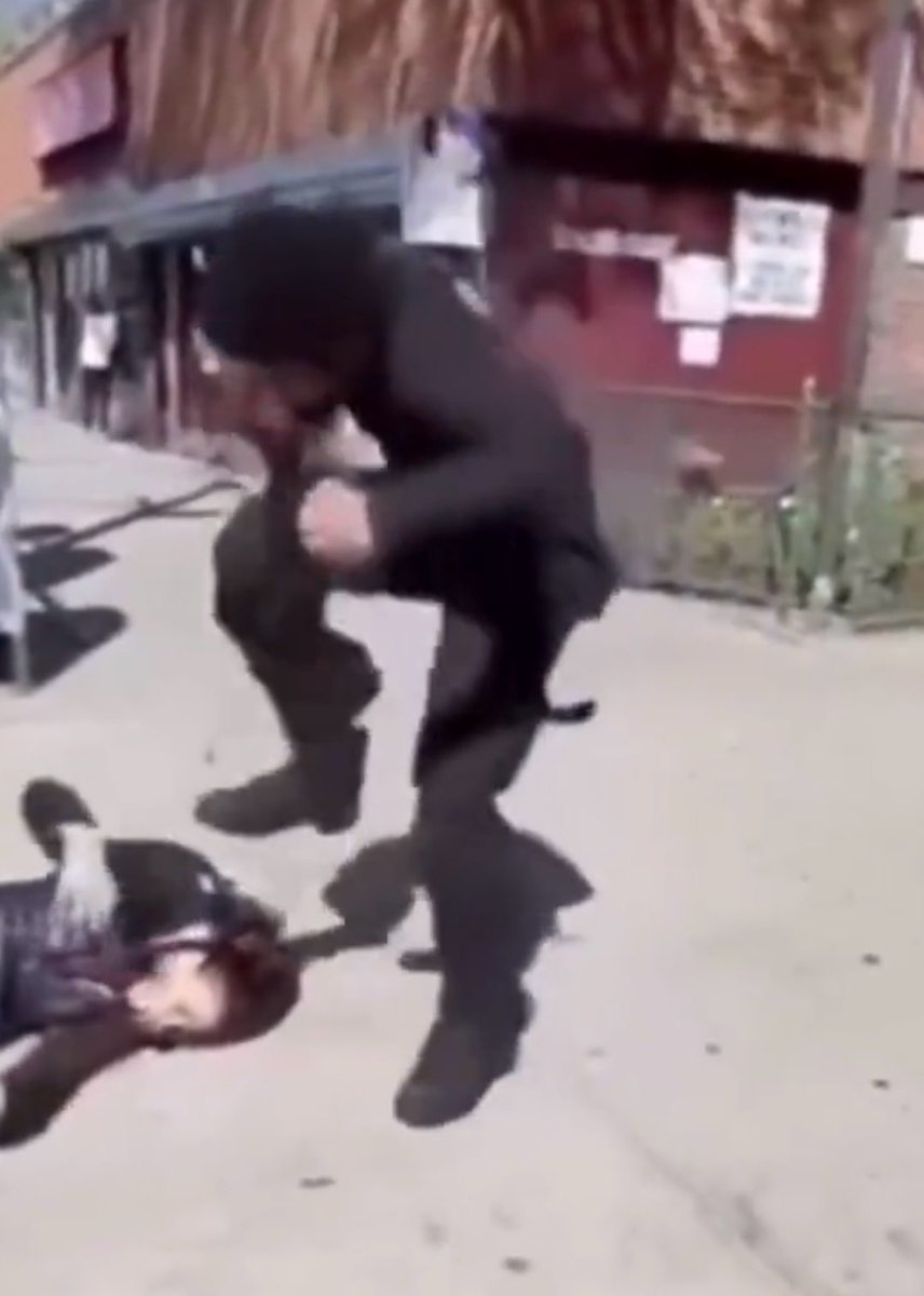 𝔉🅰𝒏 Karoline Leavitt tweet media