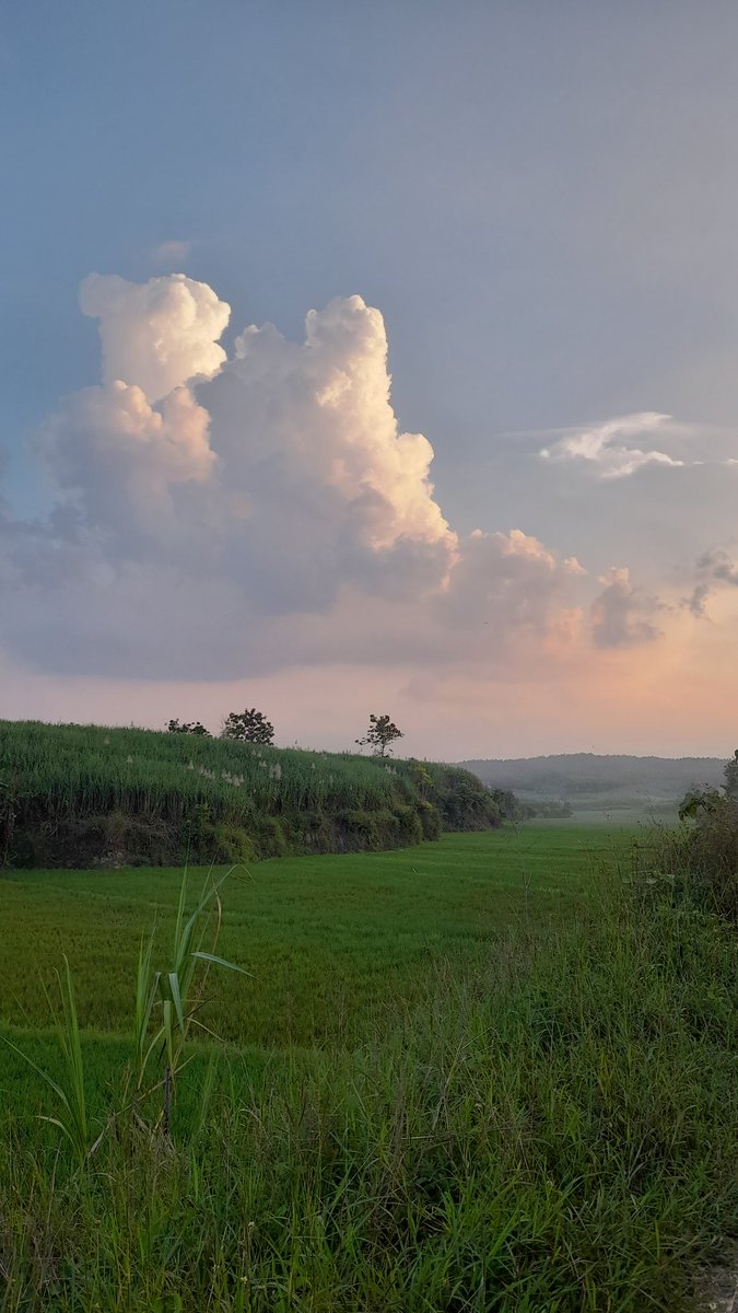 Just fields and clouds. Peaceful.