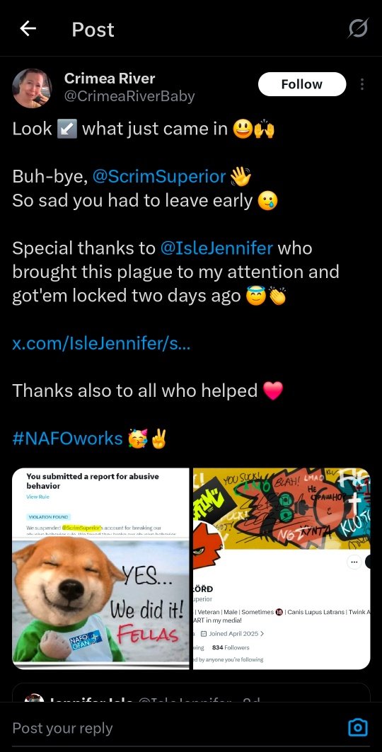 LizzieProbablyHasAGat tweet media