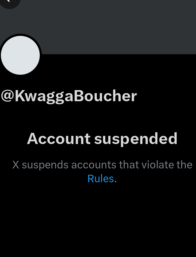 Stefan Springs tweet media