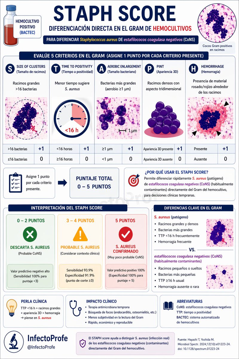 InfectoProfe's tweet photo. ¿Puedes diferenciar S. aureus de estafilococos coagulasa negativos solo con el Gram de un hemocultivo?

#Microbiology #MedTwitter #InfectiousDiseases #GramStain #IDTwitter https://t.co/sN76D1cXVH