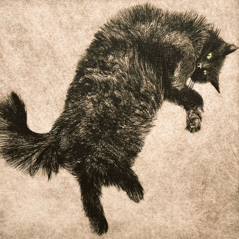 womensart1's tweet image. "Our Little Fluff Ball' etching by contemporary printmaker Faith Chevannes #Womensart