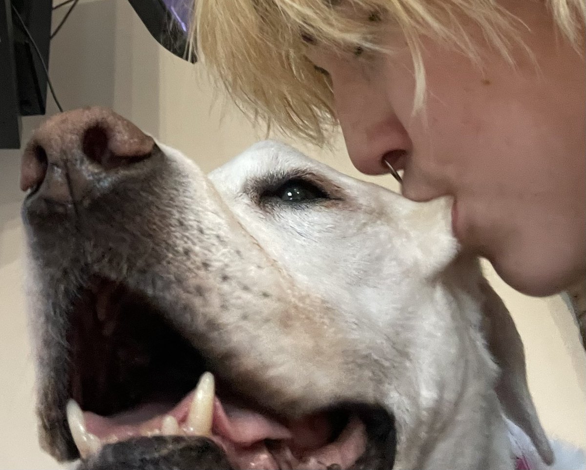 Take pictures with your dogs before they #die