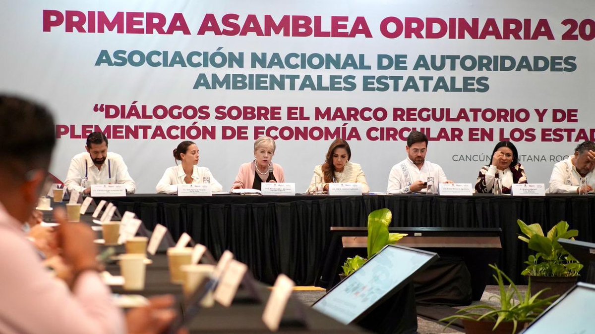 Alicia Bárcena tweet media