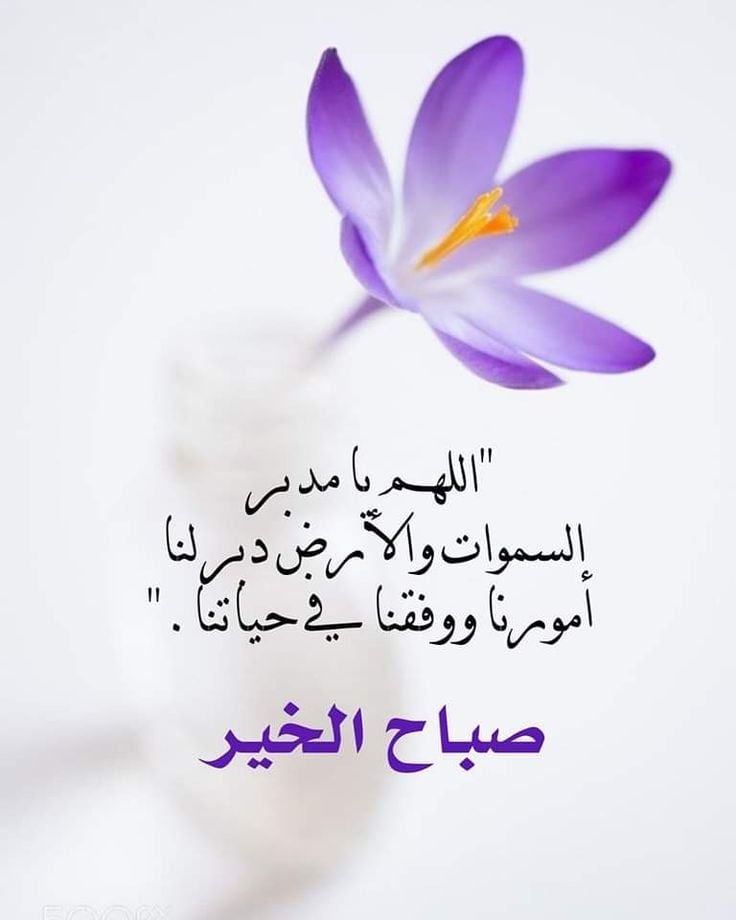 آلُِمهـندِس آلُِجٍآبَرٍي tweet media
