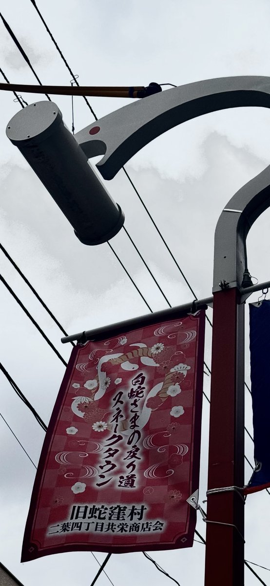 ikedata9ya's tweet photo. 蛇窪さんは大盛り上がり。

今日は己巳の日だからやねぇ☺️ https://t.co/BvS8qbtR1t
