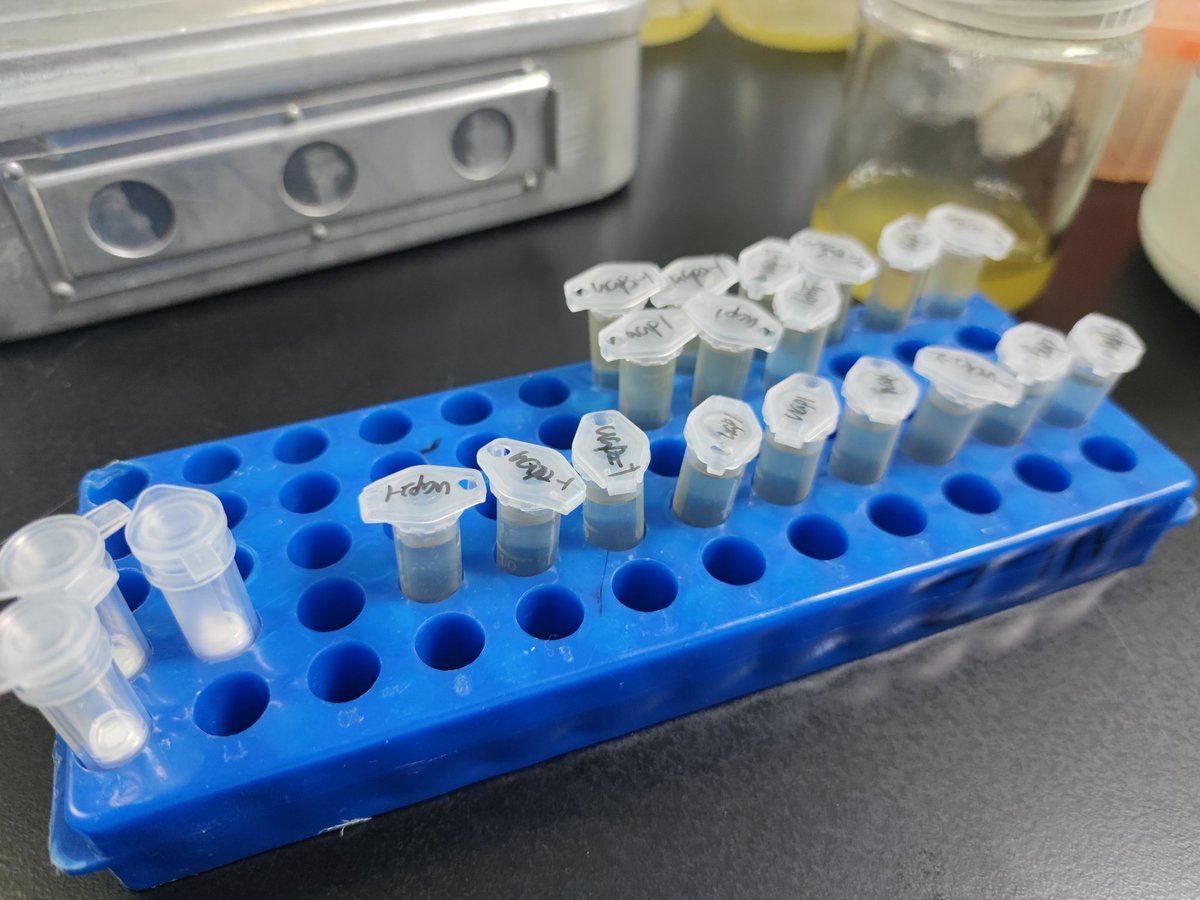 kinase tweet media