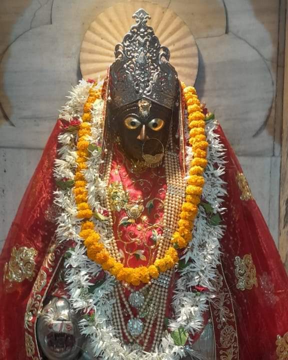 dr Avanindra Kumar Rai tweet media