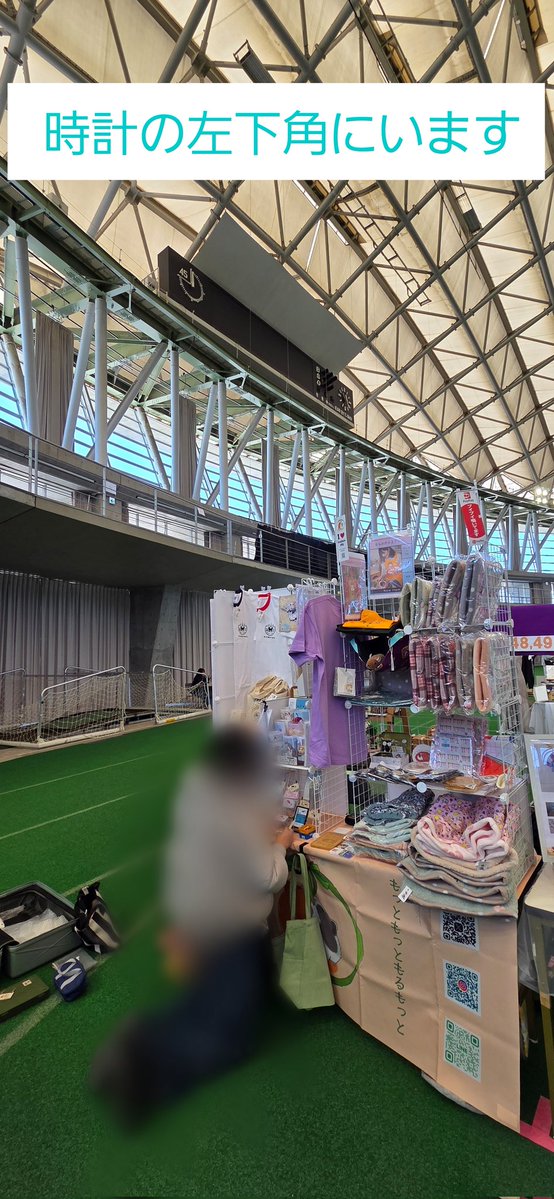 MAIKO🌿もっともっともるもっと tweet media