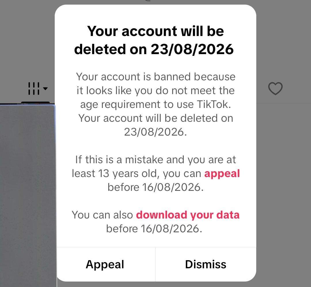 spiderm-an 🪽 tweet media