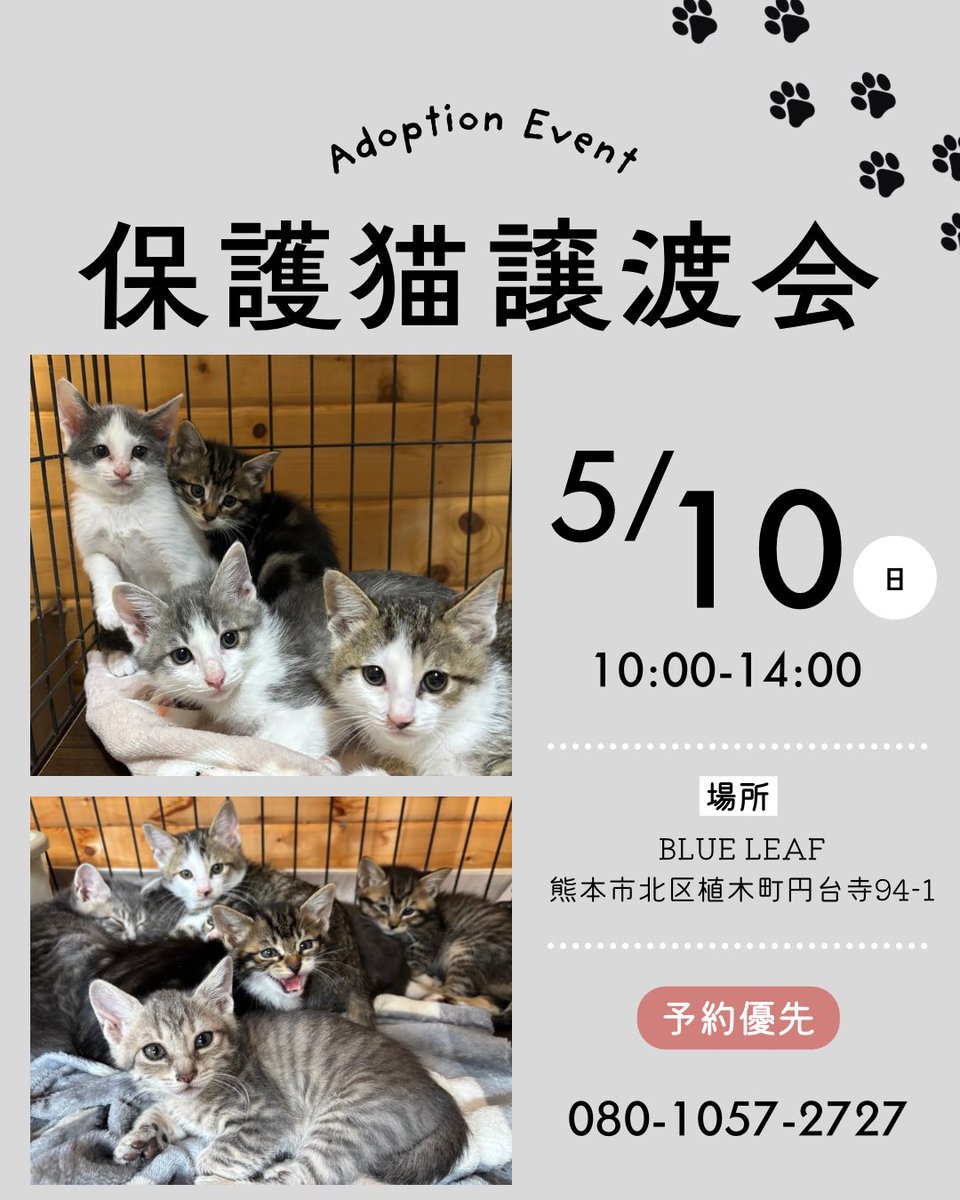 すみパン@5/10(日)譲渡会 tweet media