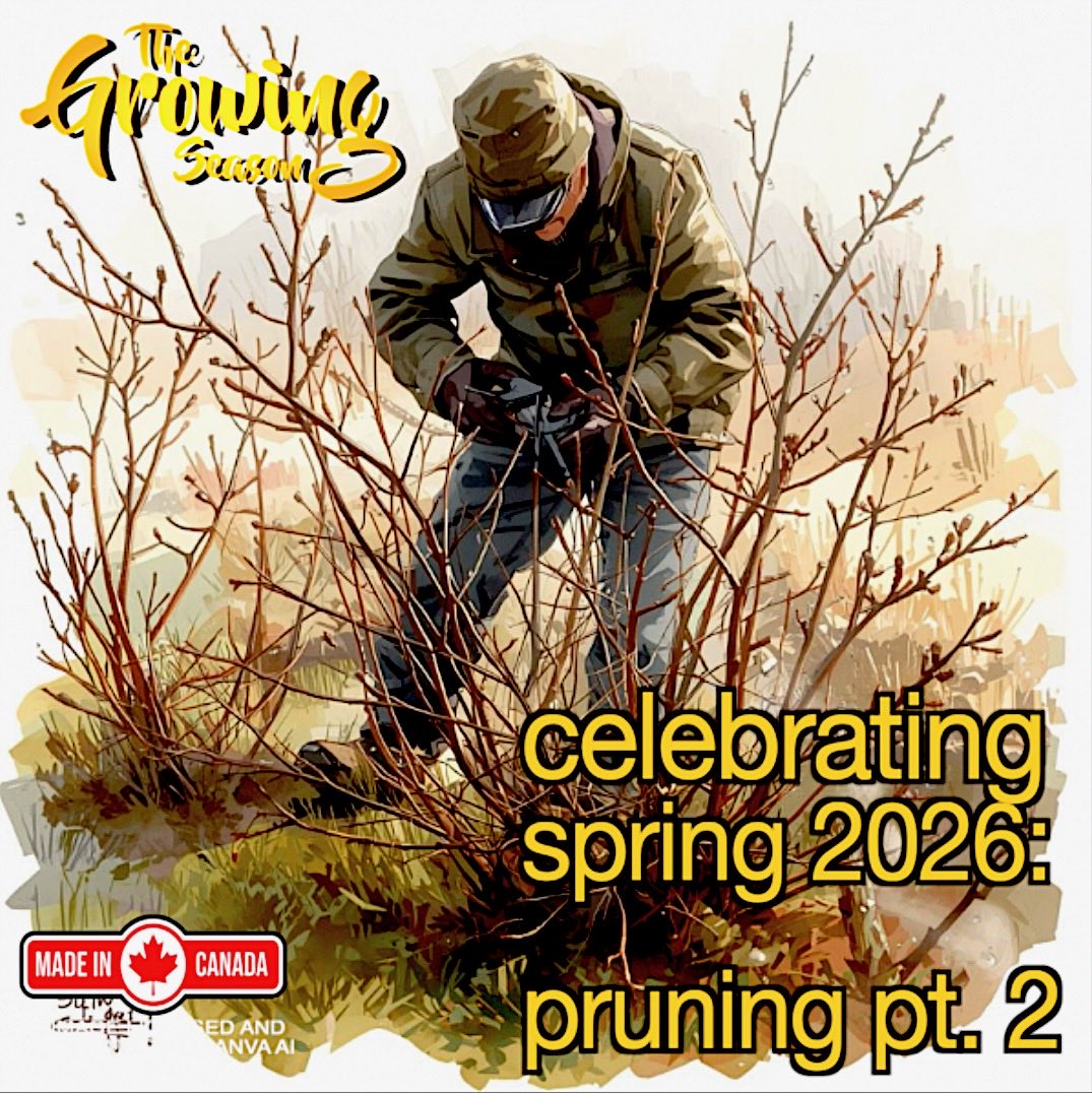 GrowingSeasonJM's tweet photo. This week let’s learn how to prune clematis, roses and then flip over to some of our edibles: apple’s, pears, plums and fruiting bushes.  Join The Growing Season for their Celebrating Spring Part 2 Show on April 25 and 26 at 10:00am.  Enjoy!  https://t.co/oEBJYfySGY. https://t.co/8uAUcYxtS0