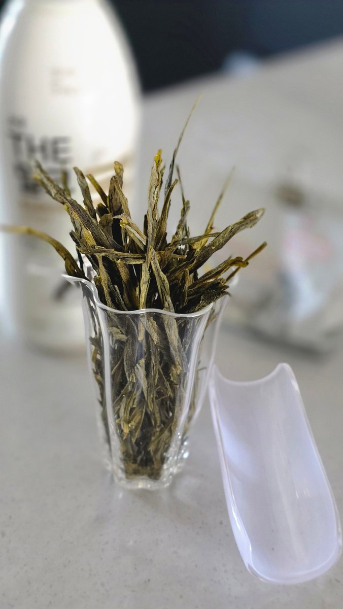 🌿풀소유 tweet media