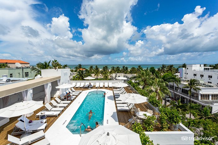 DGretta_Author's tweet photo. I'm heading to South Beach, FL soon to meet a few of my X followers. This is my hotel I've booked and if I told you how little a night I'm paying you'd k*ll me. #rooftoppool 🏖️ https://t.co/ZlFgIdYJDM