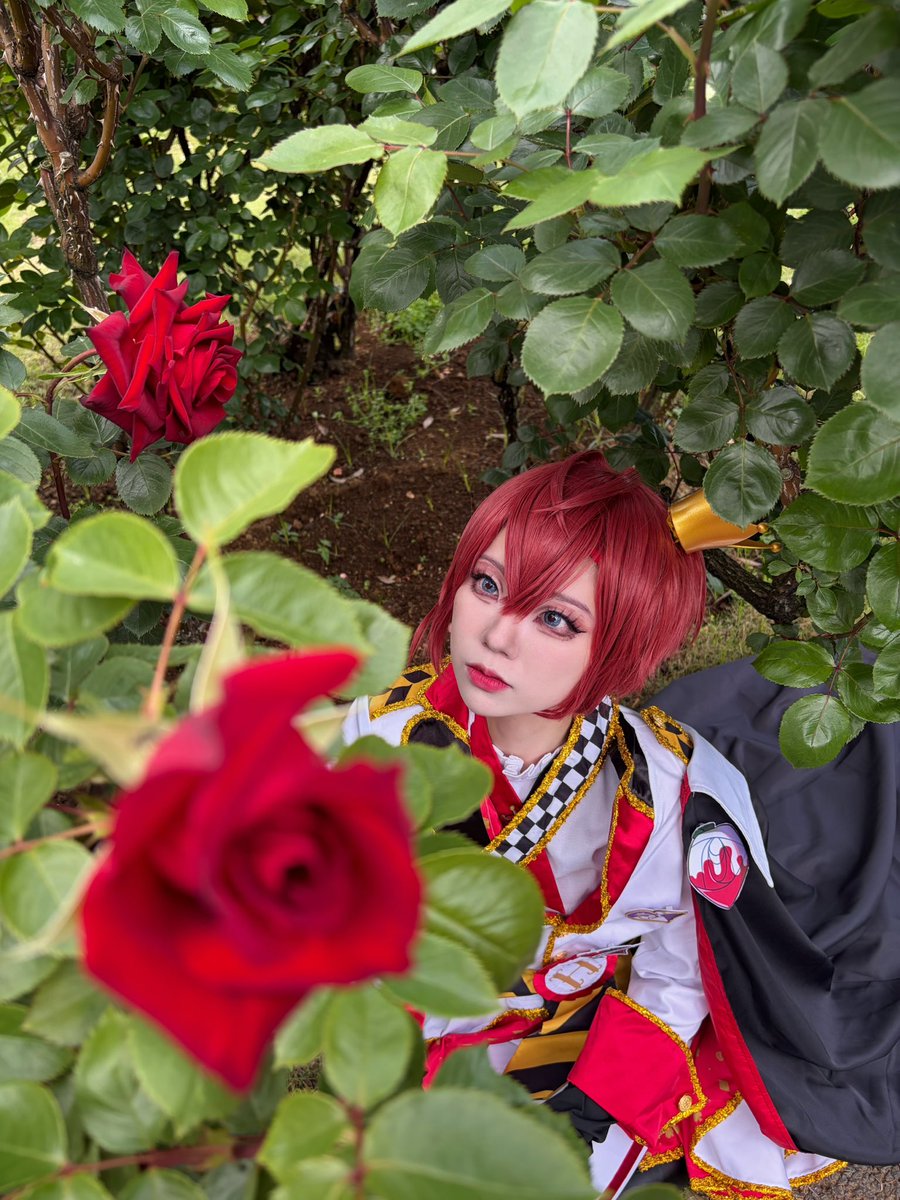 バラ園おそほ〜なのです🥀🖤