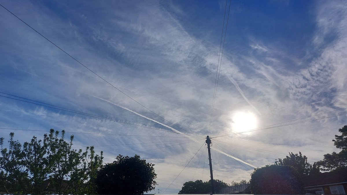 Lynda Bullock tweet media