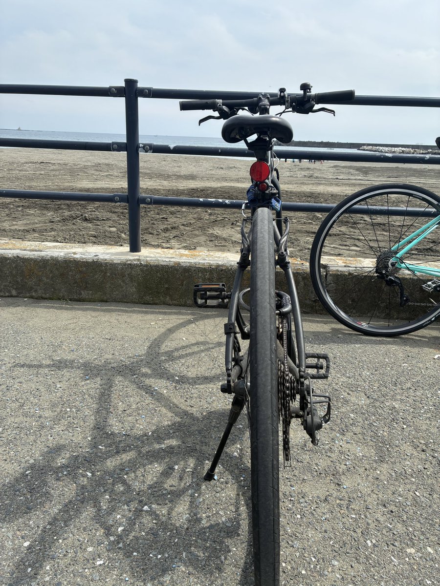 うんこ爆撃 tweet media