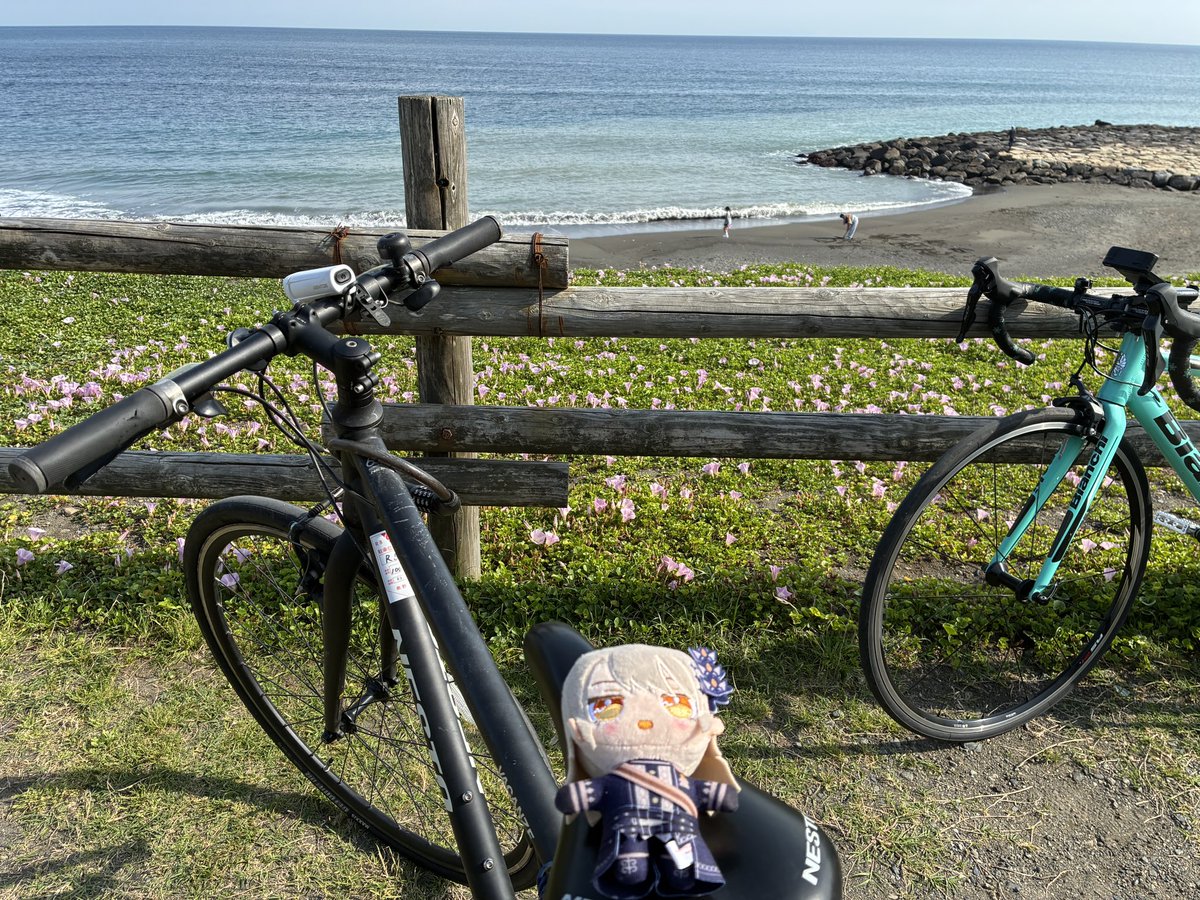 うんこ爆撃 tweet media