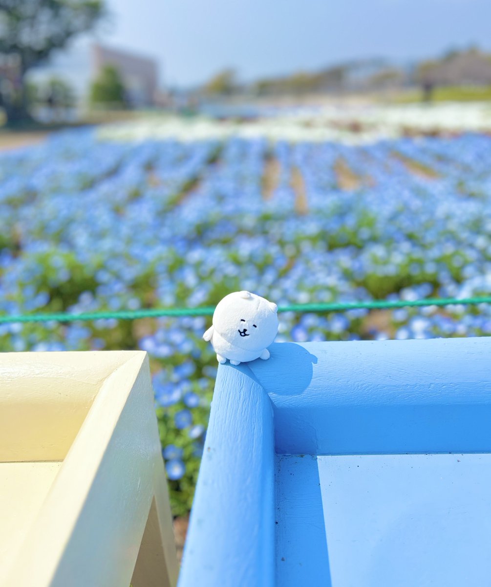 くまち tweet media