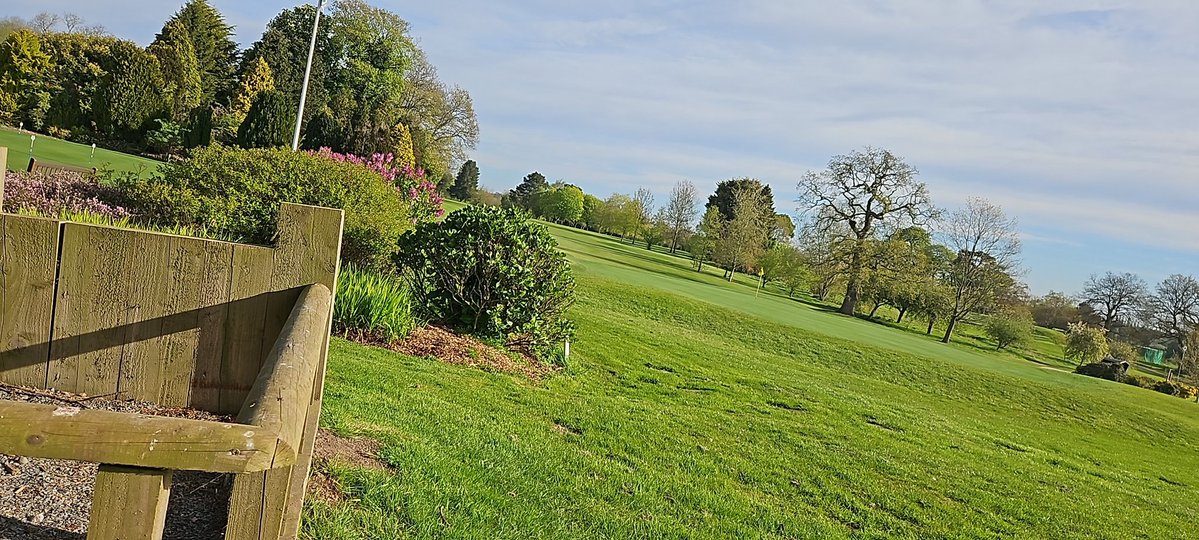 martjimmy72's tweet image. What a fantastic morning #happy #sun