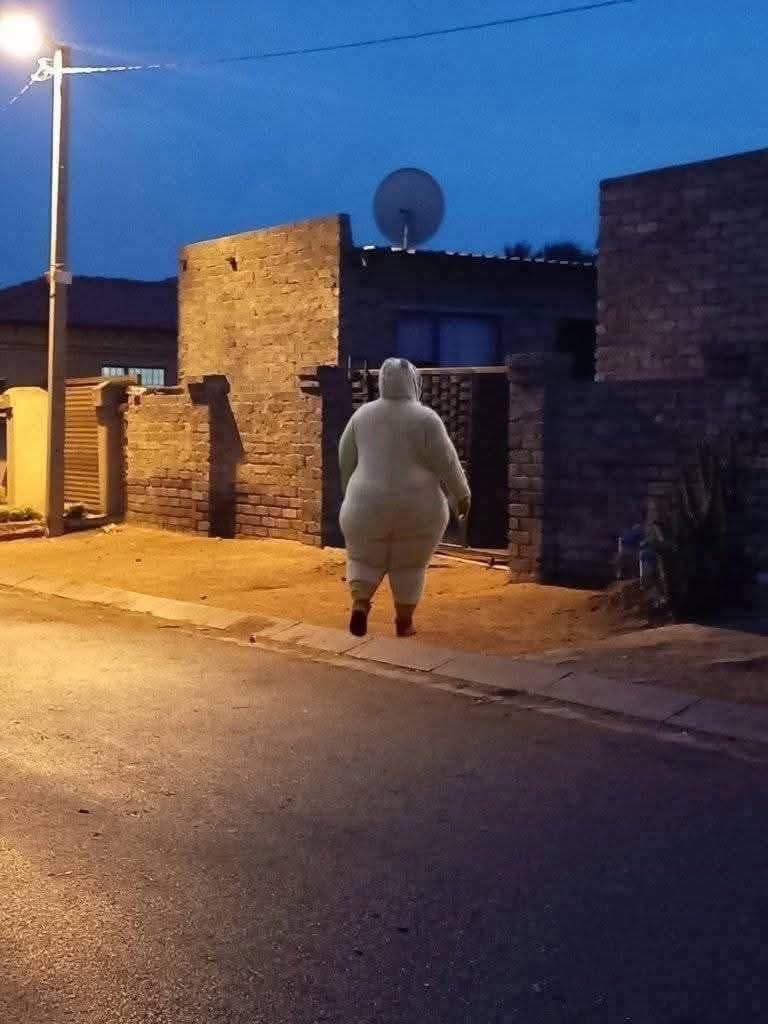 kgadi♠️ tweet media