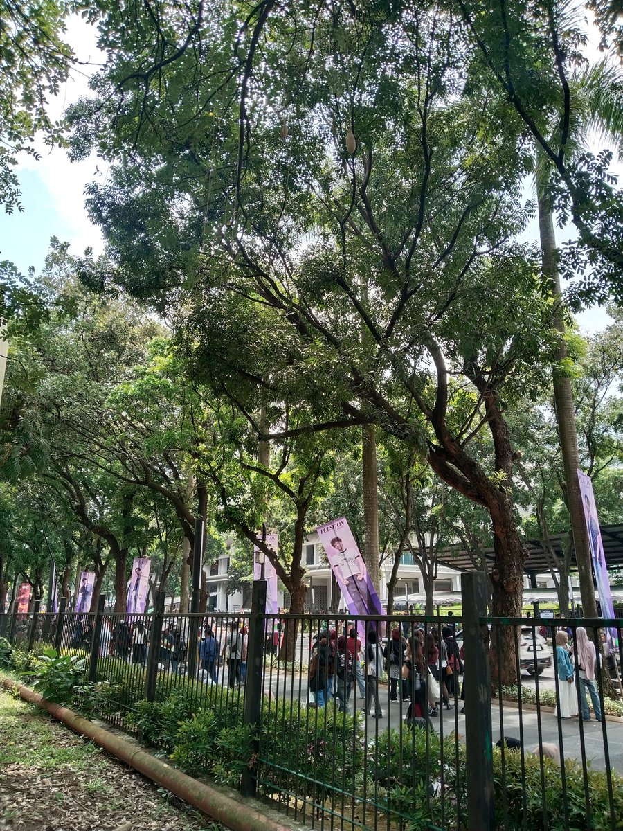 Gak semua hal harus miring asahi...