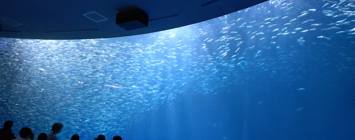 名古屋港水族館ですわ 