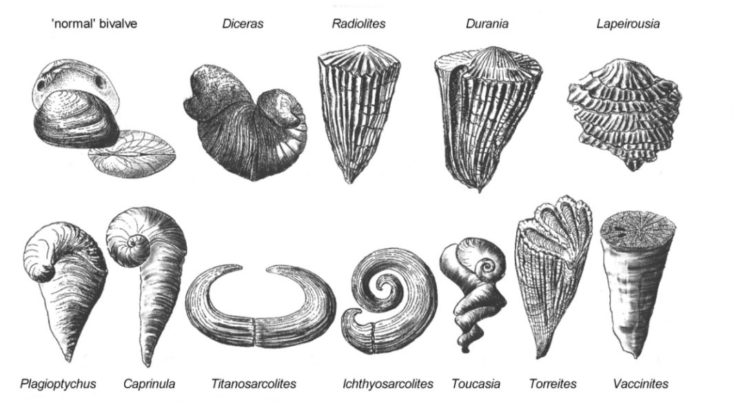 БorisEdiacarov3D♻️ tweet media