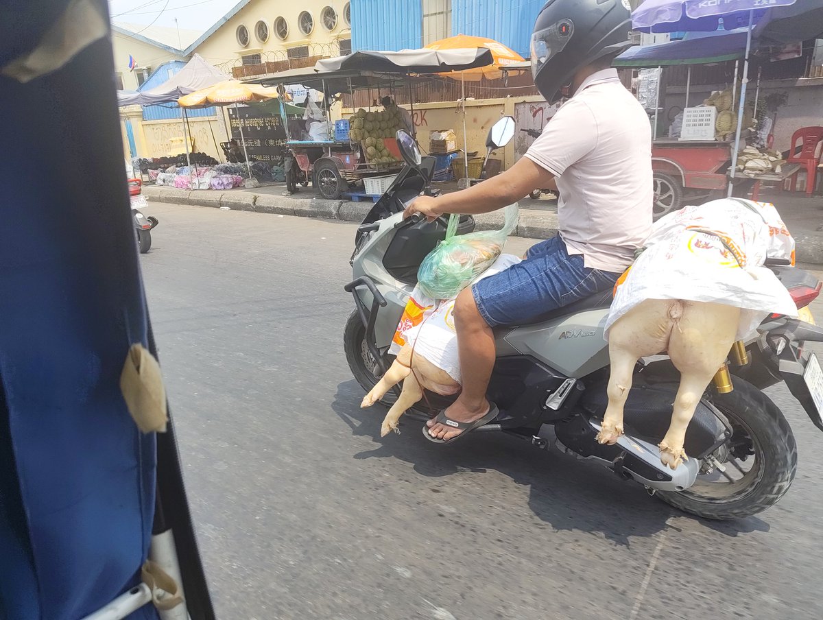 Go Kitaura tweet media