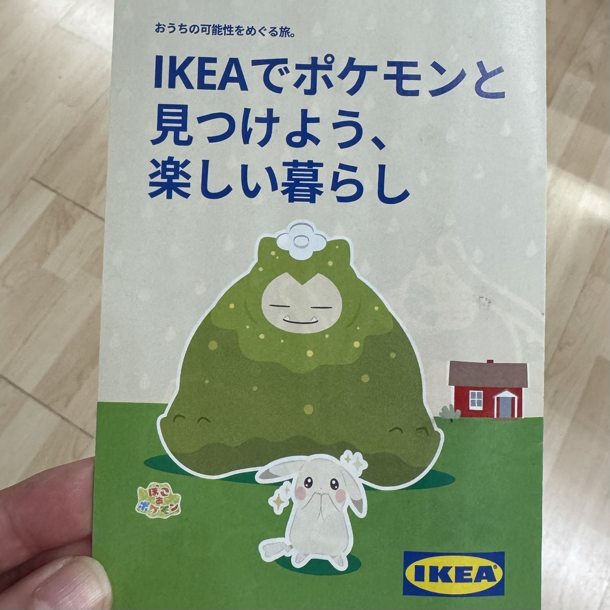 ちゃたおれ🐾 tweet media