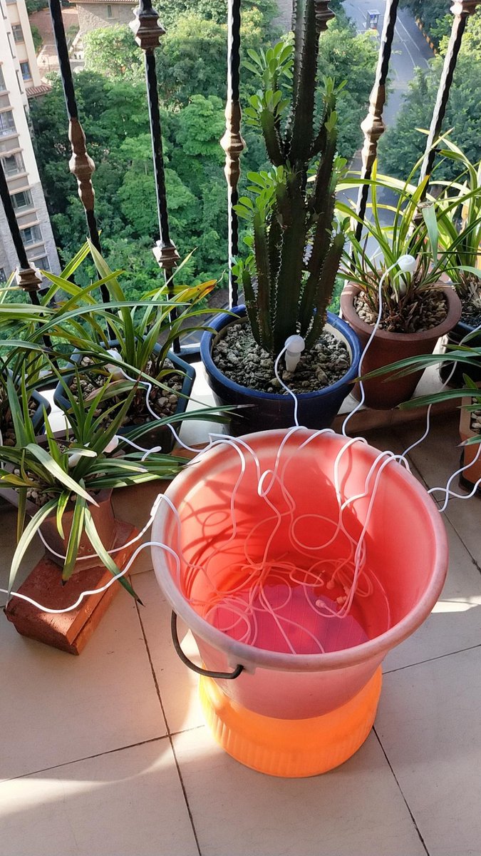 Chris radtke tweet media