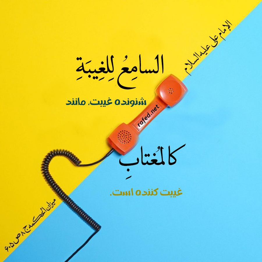 rafednetwork tweet media