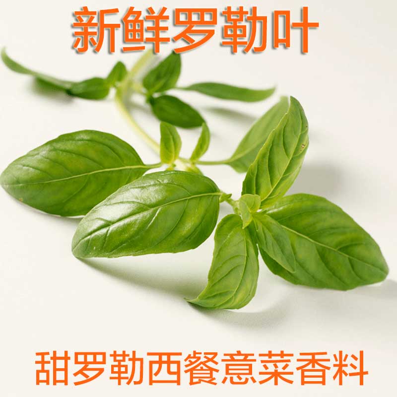 summer shan tweet media