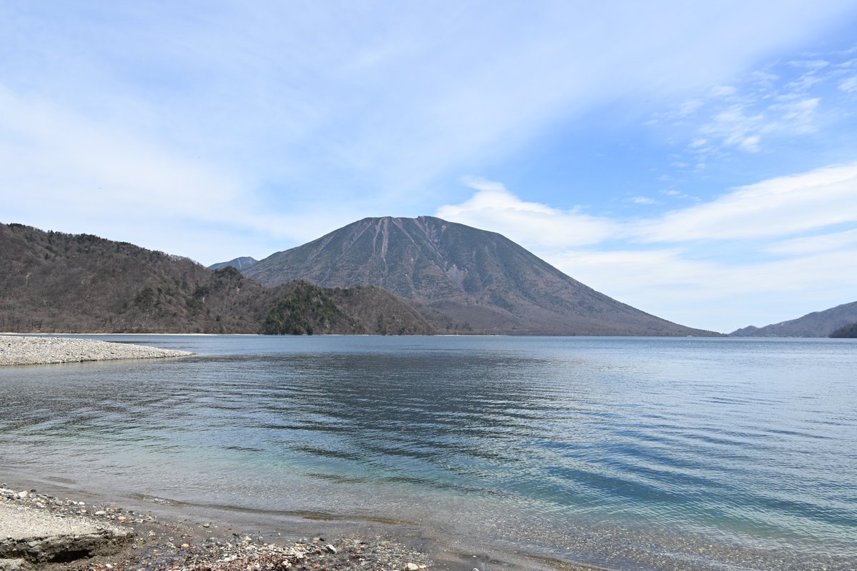 日光自然博物館 tweet media