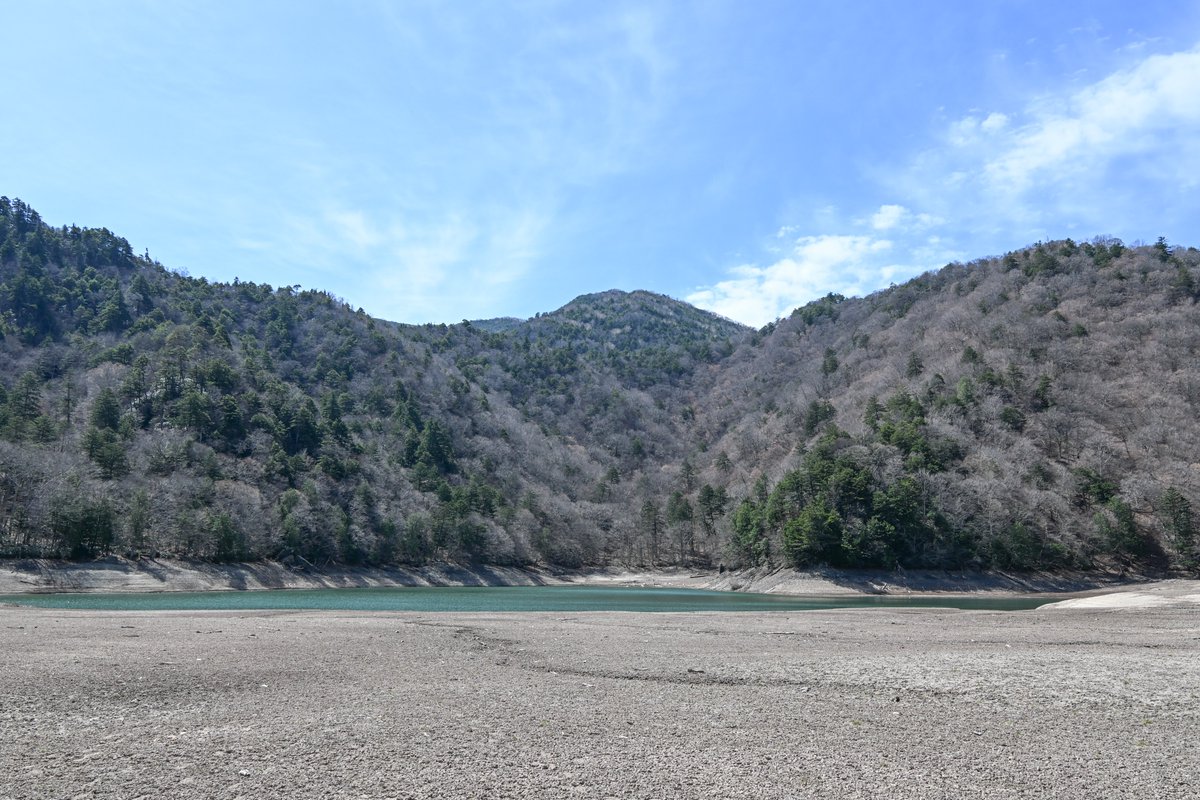 日光自然博物館 tweet media