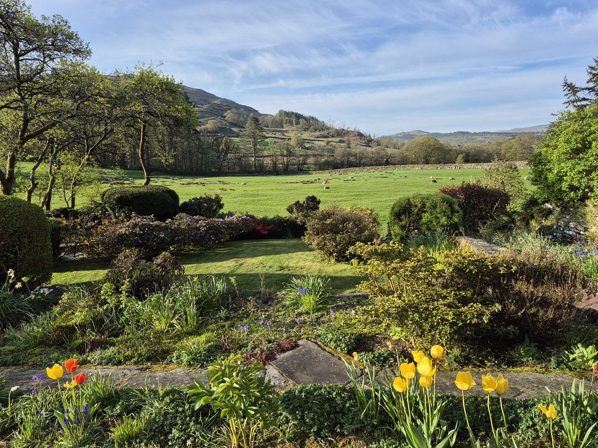PhilSipocz's tweet image. Good morning from the garden. What a beautiful morning. Nice &amp;amp; "quiet" 😁 #LakeDistrict #Lakes @Cumbria