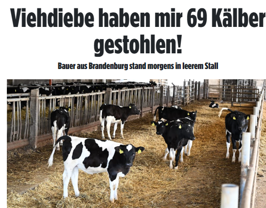 Bettina Punkt tweet media