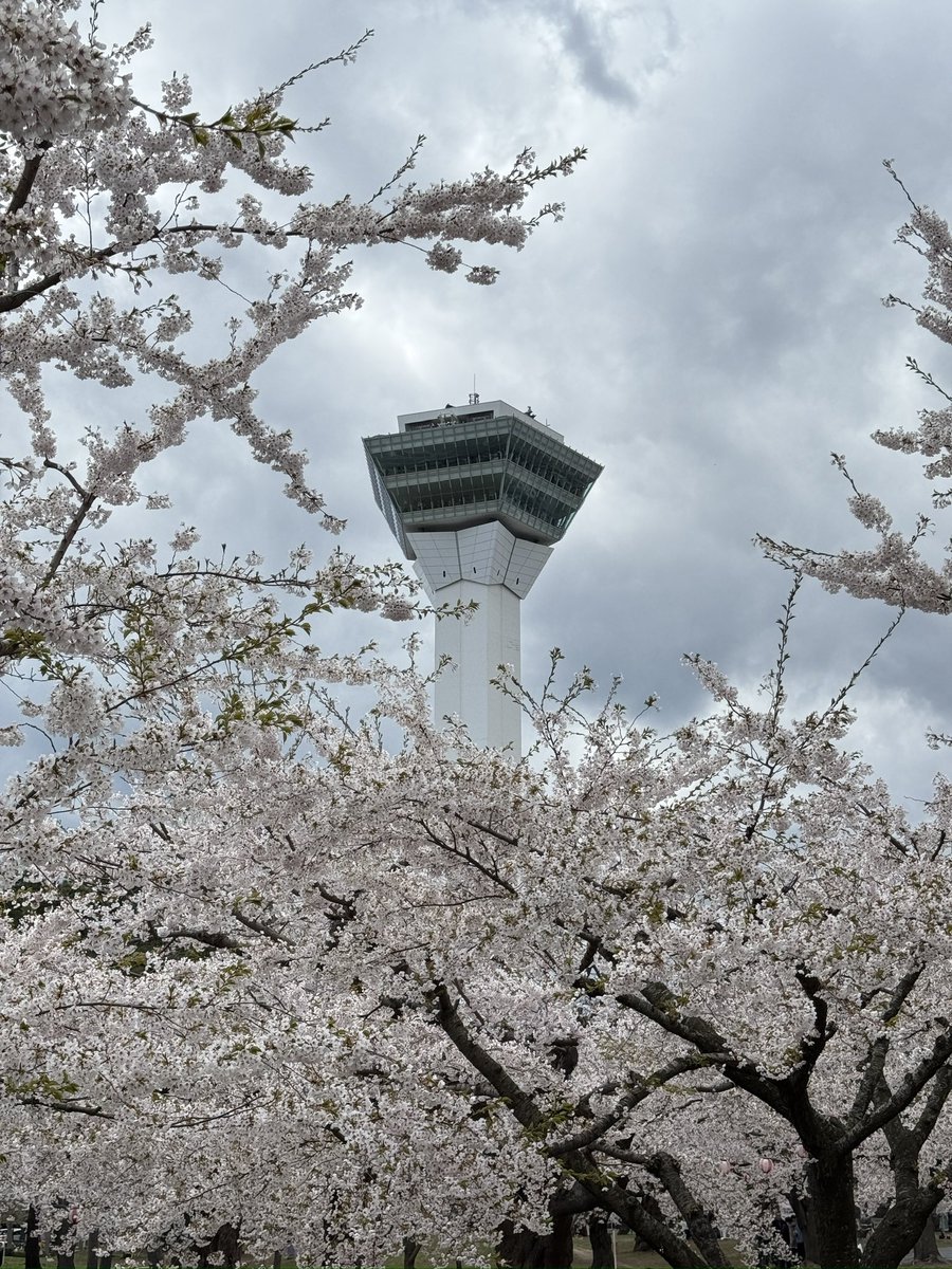 howstep_hikaru's tweet image. 素敵なイベントでした☺️

#Ruby
#rubykaigi
#函館
#五稜郭
#函館山