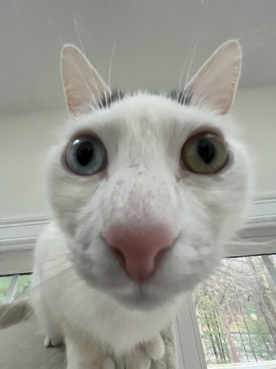 WooperBooper tweet media